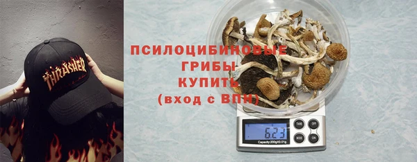 дмт Богородицк