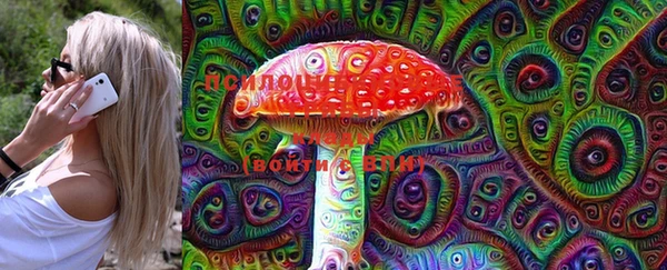 марки lsd Богданович