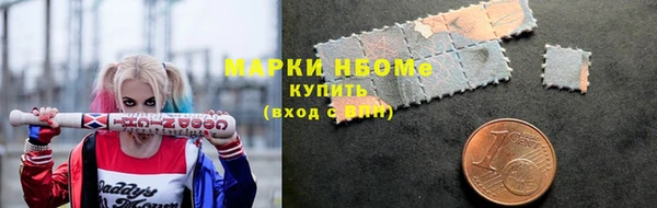 дмт Богородицк