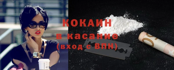 дмт Богородицк