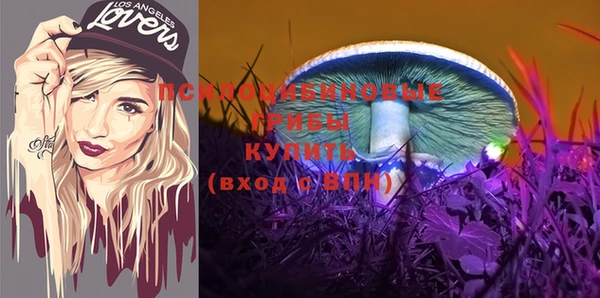 марки lsd Богданович